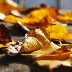 ddos在线攻击工具